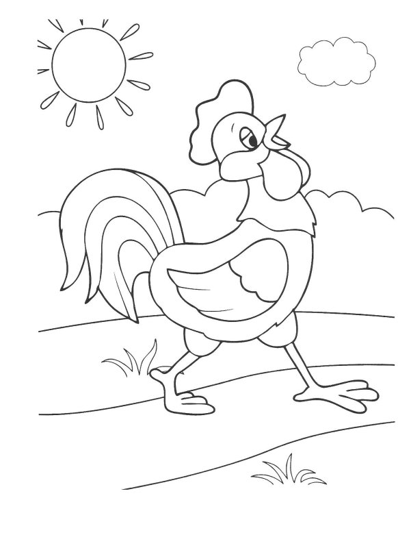 Петушок и бобовое зернышко раскраска