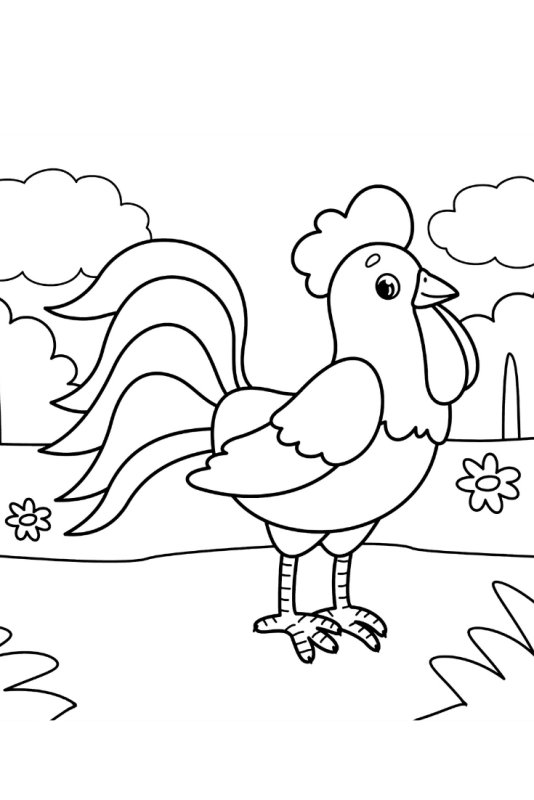 Петушок картинки для детей раскраски