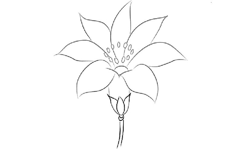 Цветик семицветик раскраска