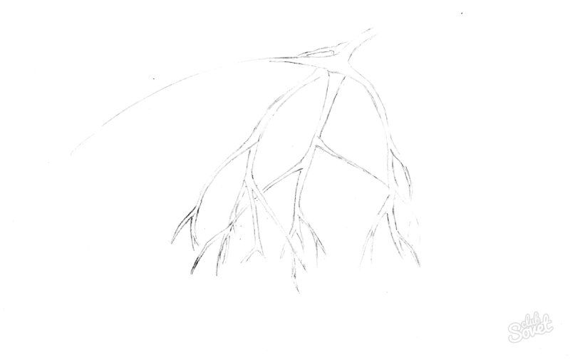 Веточки для рисования