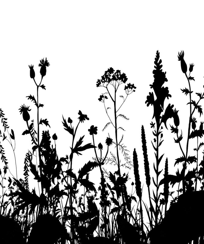 Трафарет травы