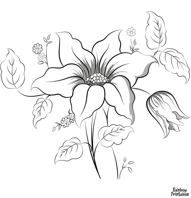 Волшебные цветы. Раскраска