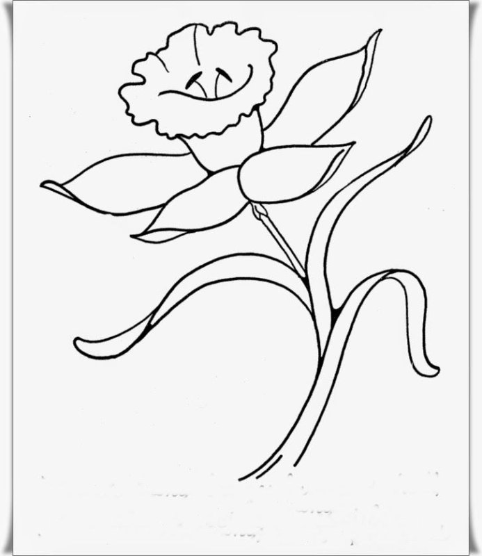 Цветы. Раскраска