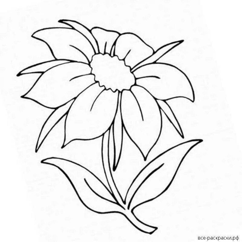 Цветы. Раскраска