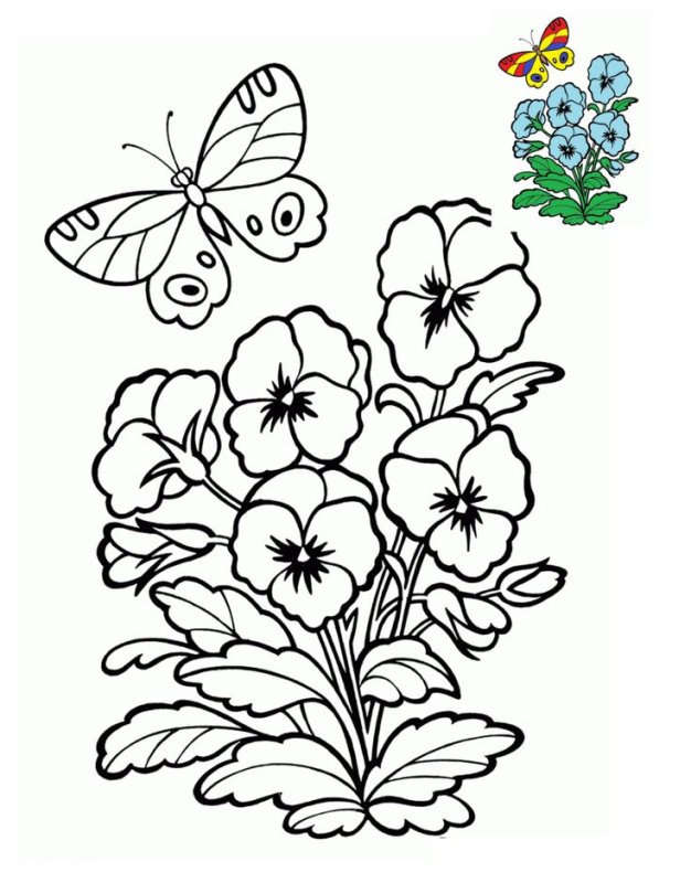 Цветы. Раскраска