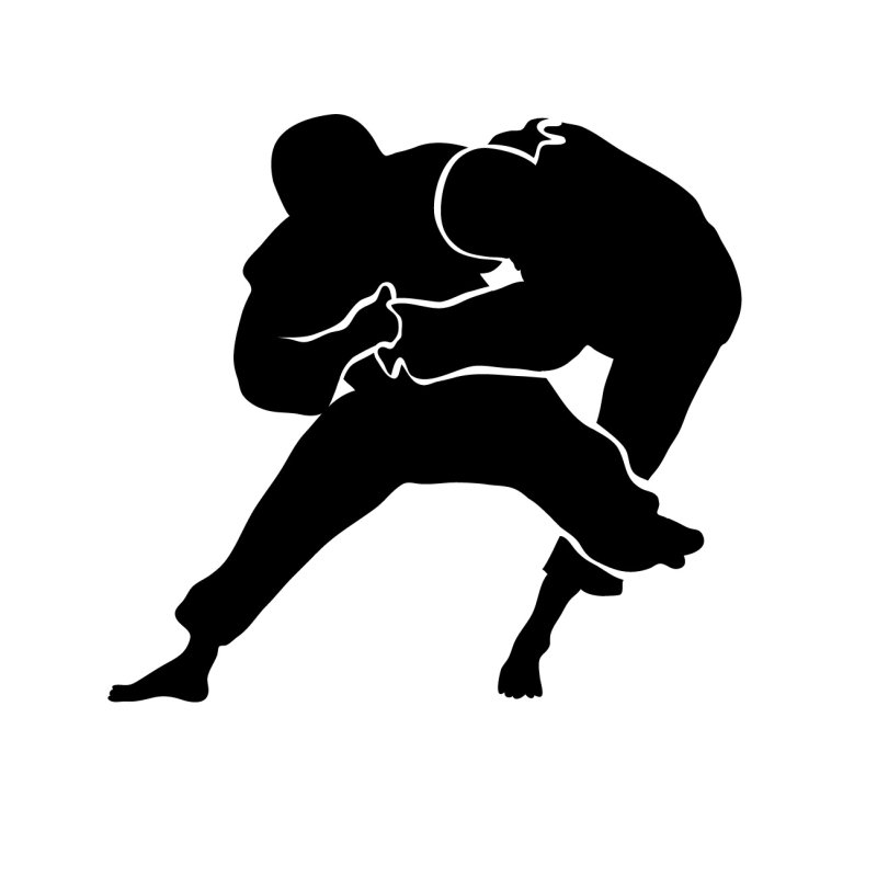 Дзюдо силуэт
