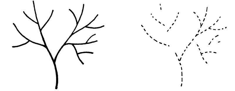 Ветка раскрашивания для детей