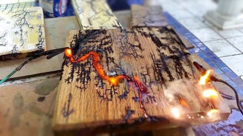 Молнии Лихтенберга на дереве