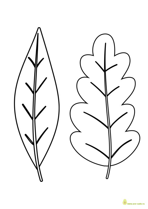 Листья для вырезания