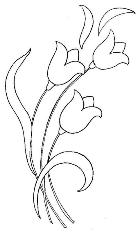 Цветы рисунок