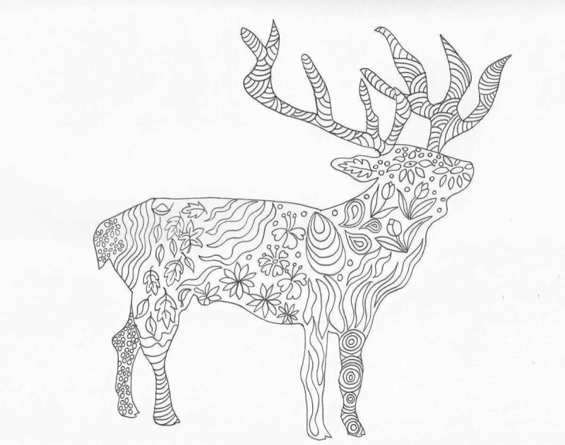 Олень раскраска