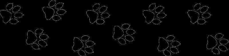 Лапки на белом фоне