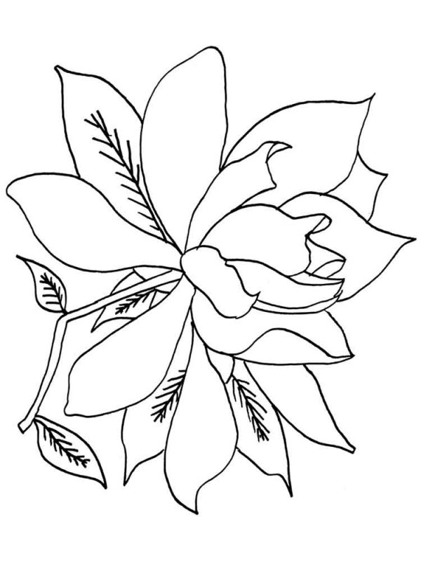 Цветы раскраска для детей