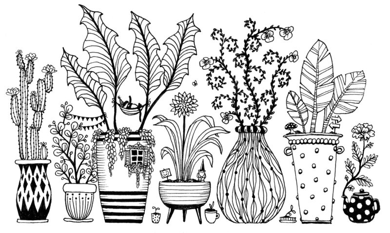 Растения в графике