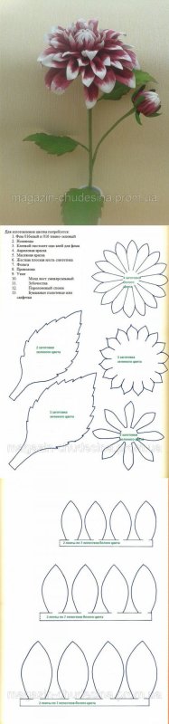 Выкройки цветов из фоамирана