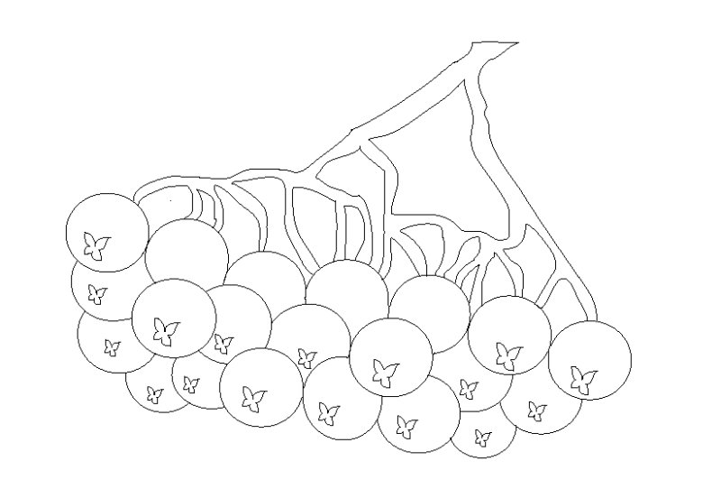 Рябина раскраска для детей