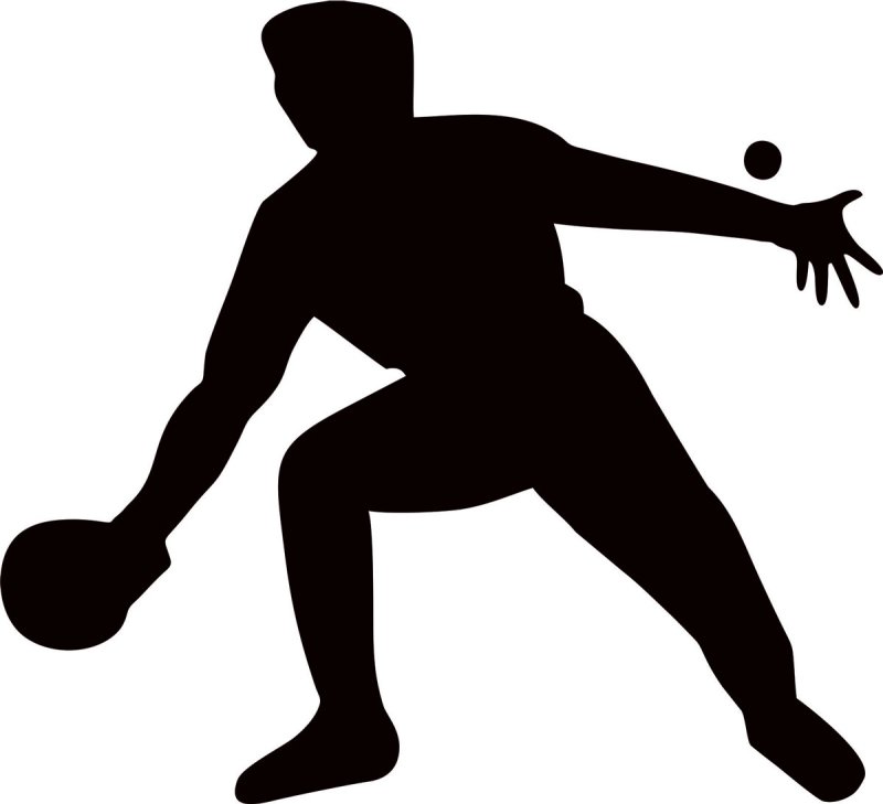 Спор силуэт