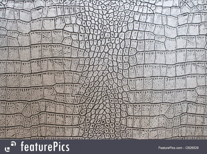 Трафарет кожа крокодила