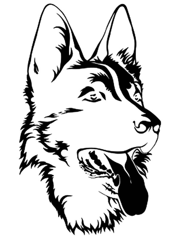 Нарисовать немецкую овчарку