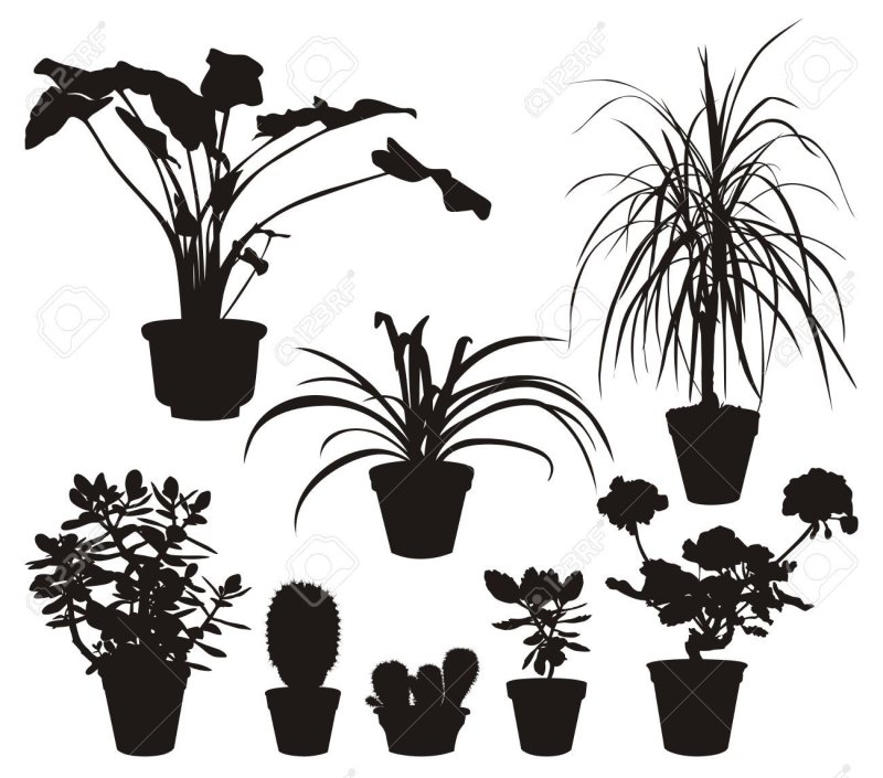 Цветок в горшке силуэт