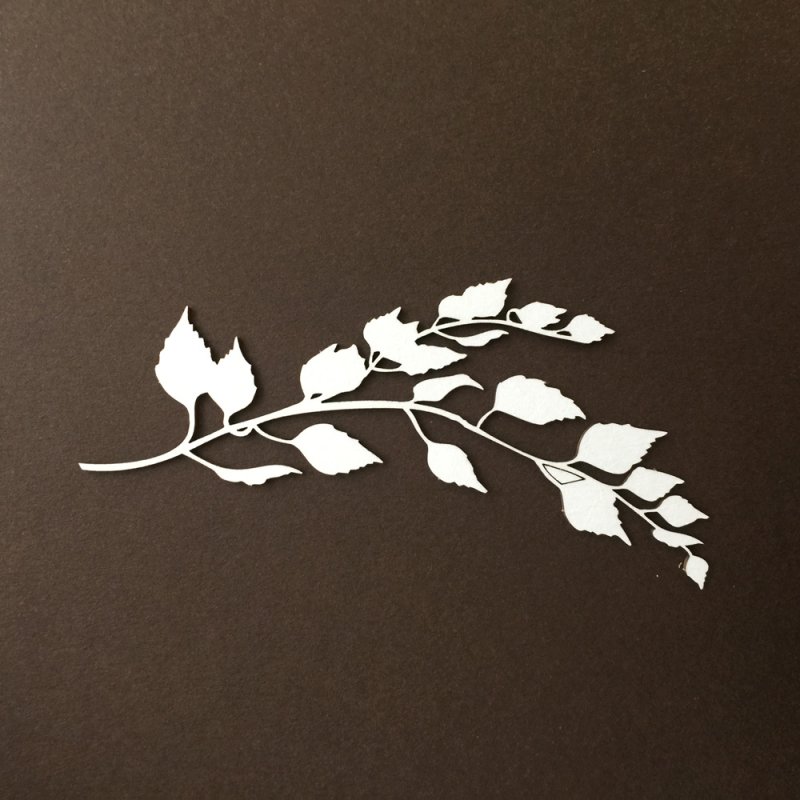 Ветка с листьями