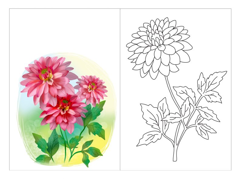 Астра Хризантема Гладиолус георгин