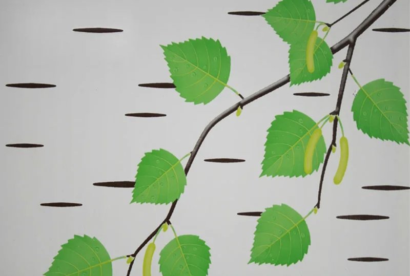 Листик березы