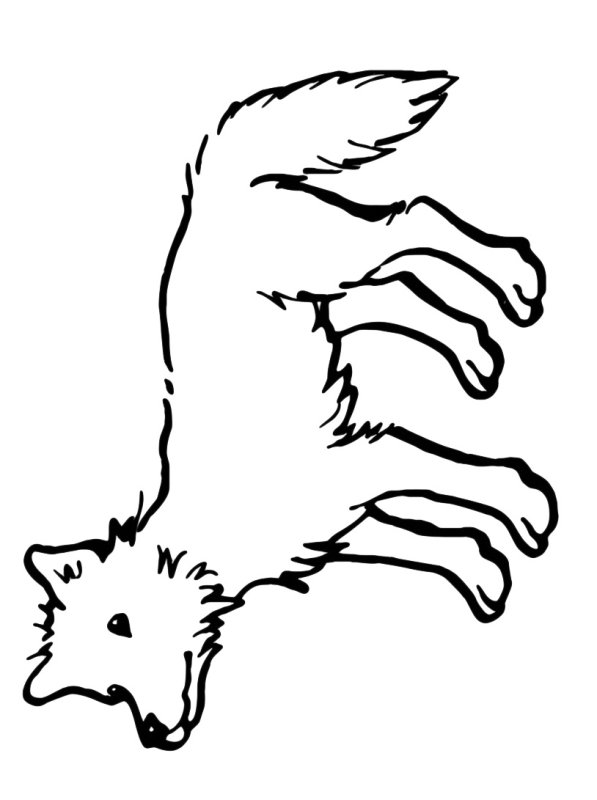 Раскраска волк