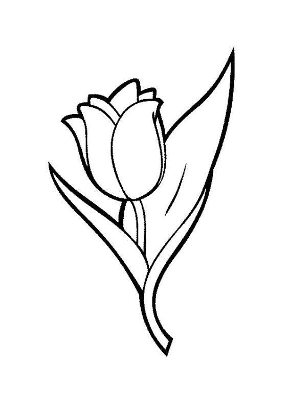 Тюльпаны для раскрашивания для детей