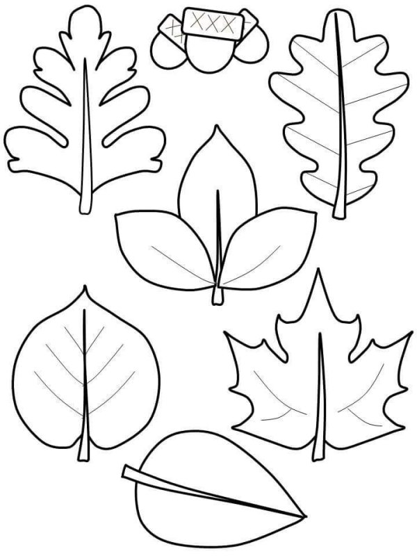 Трафарет осенних листьев