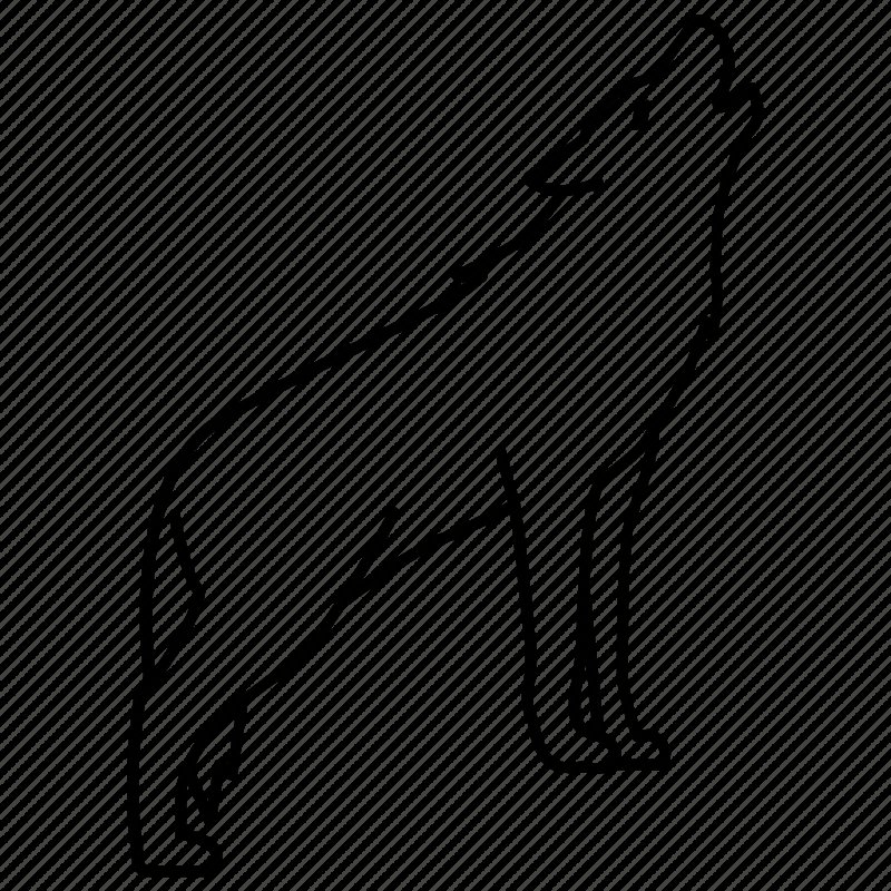 Очертание волка