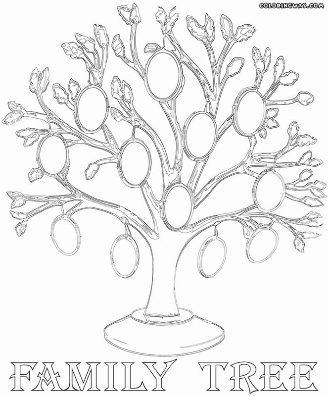 Семейное дерево рисунок