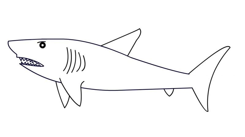 АК раскраска