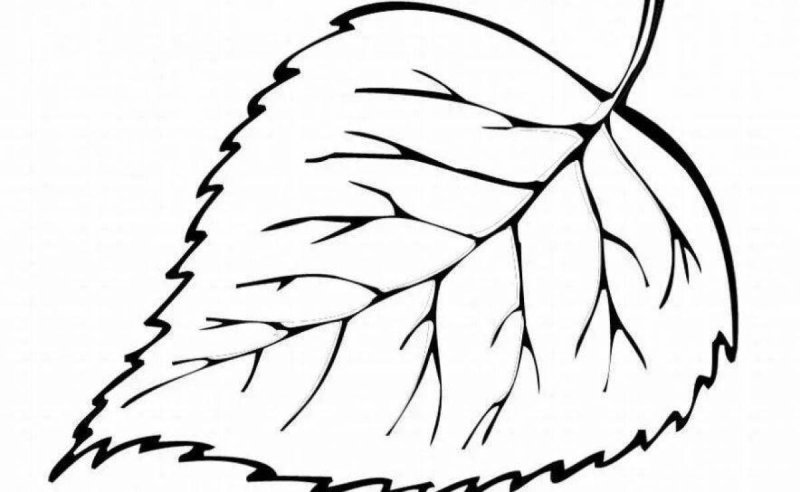 Листья раскраска для детей