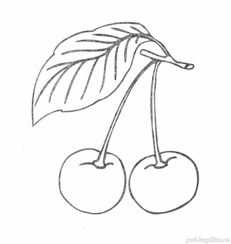 Черешня раскраска для детей