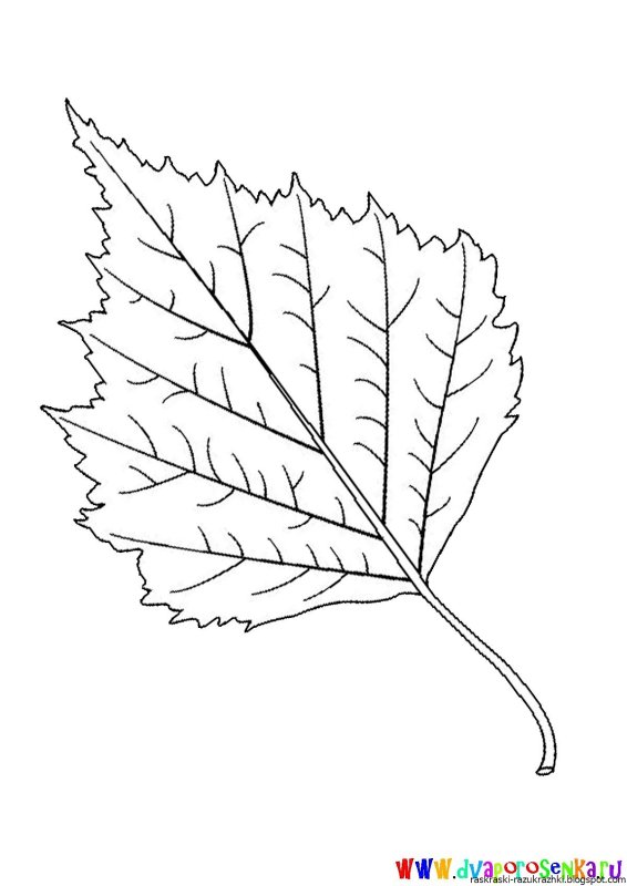 Березовый лист раскраска