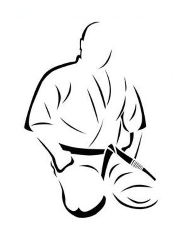 Дзюдо силуэт