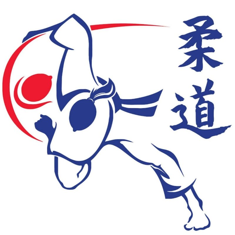 Дзюдо пиктограмма