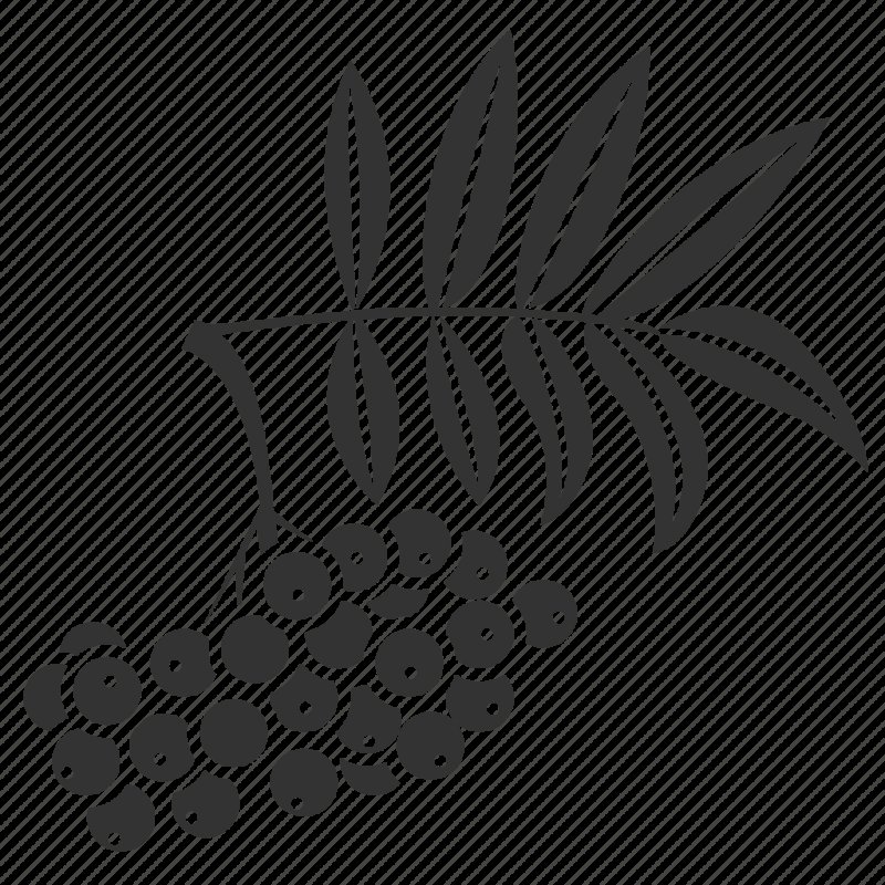 Листья рябины силуэт