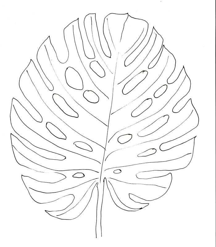 Monstera Leaf контур