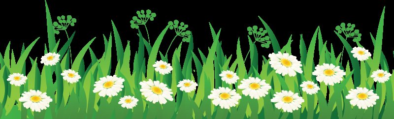 Травка с цветочками