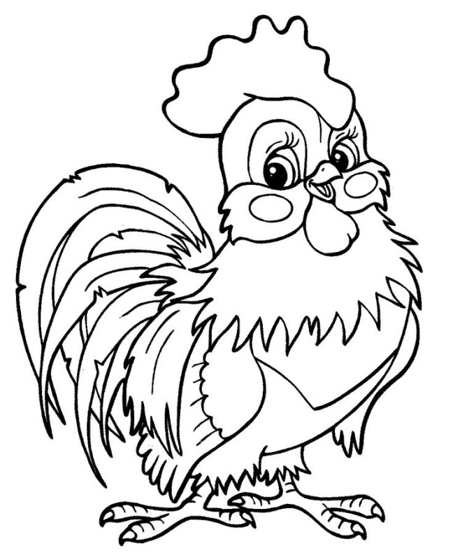 Петух раскраска