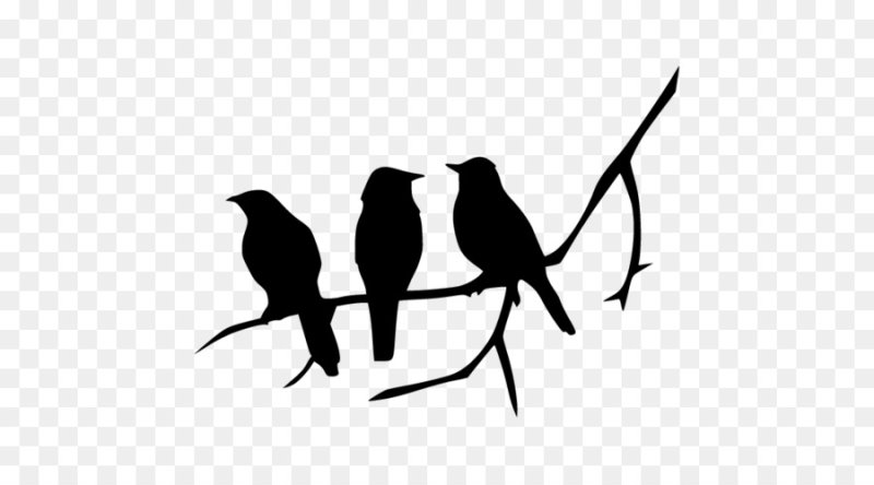 Силуэт птицы на ветке