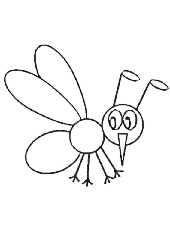 Насекомые раскраска для детей