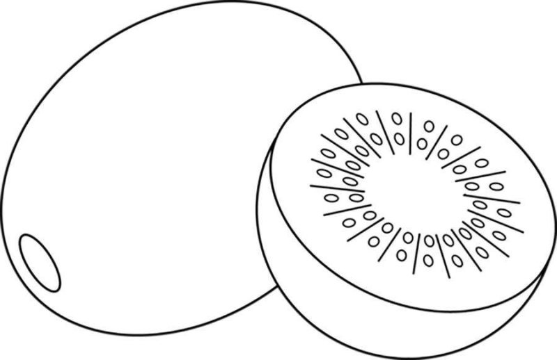 Раскраска фрукты киви