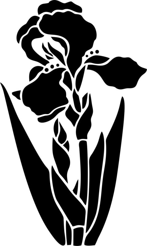 Трафареты цветов для декора