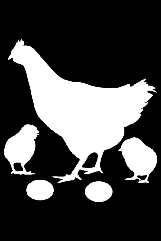 Трафарет куры