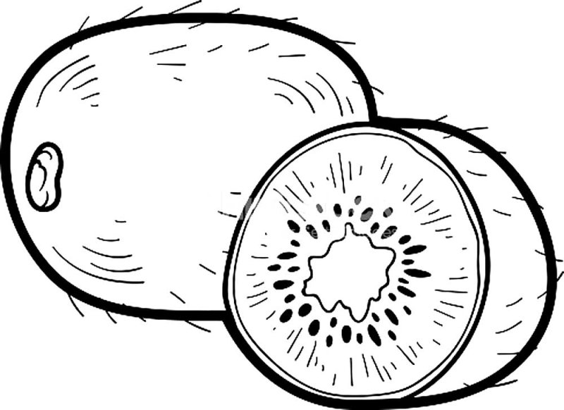 Раскраска фрукты киви