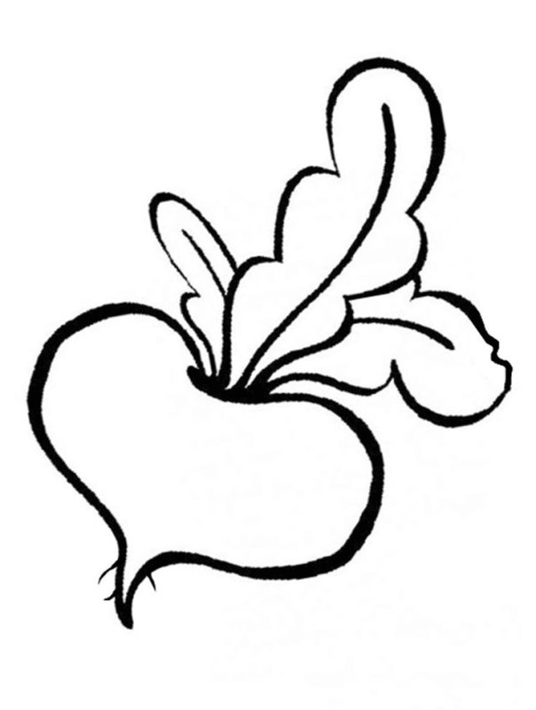 Раскраски для малышей