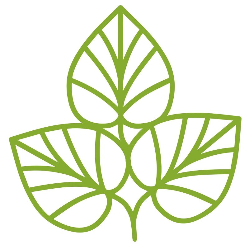 Трафарет листочки для цветов